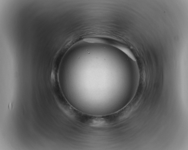X0000116370214200912021200