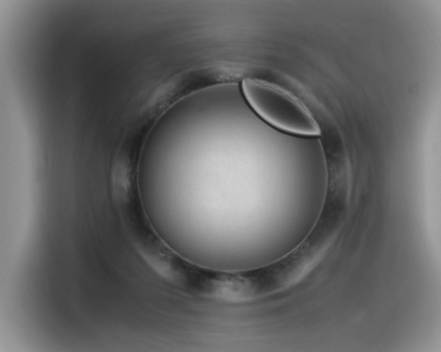 X0000116370215200912021200