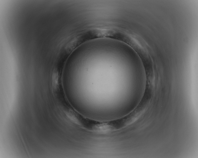 X0000116370219200912021200
