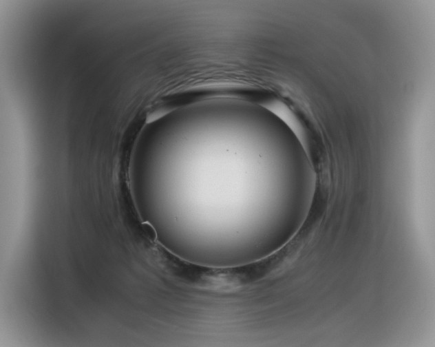 X0000116370221200912021200