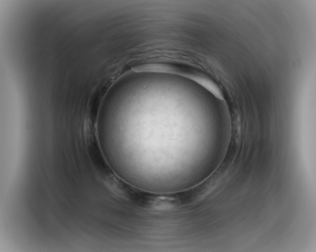 X0000116370222200912021200