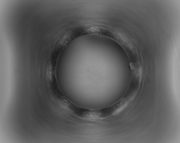 X0000116370223200912021200