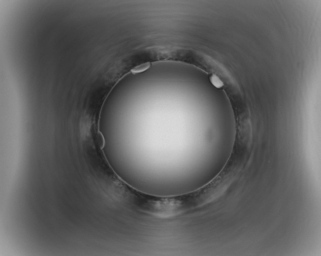 X0000116370225200912021200