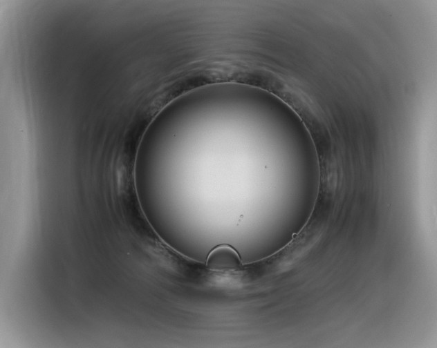 X0000116370226200912021200