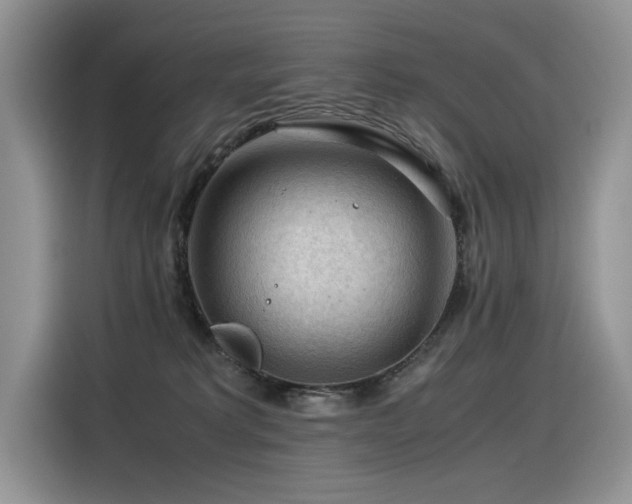 X0000116370229200912021200