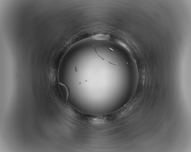X0000116370232200912021200