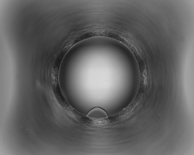 X0000116370234200912021200
