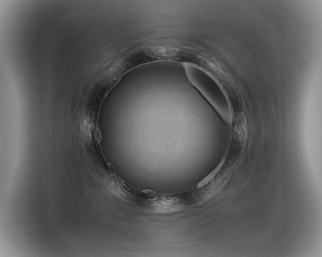 X0000116370235200912021200