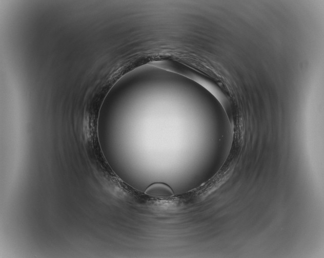 X0000116370236200912021200