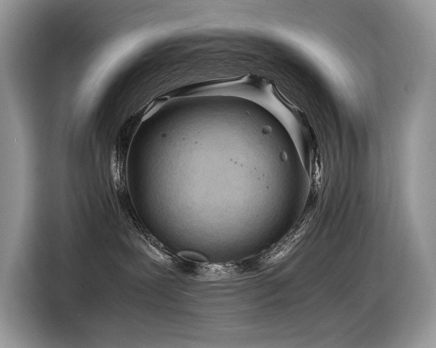 X0000116370239200912021159