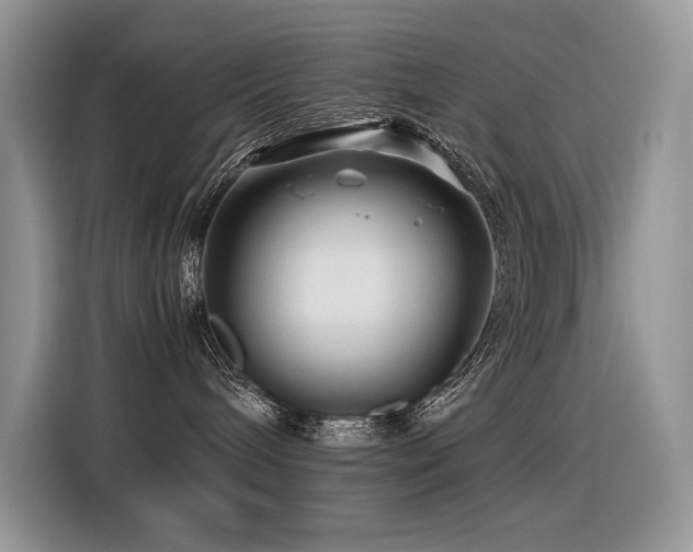X0000116370240200912021159