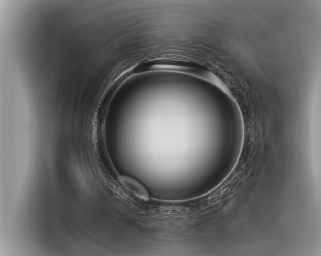 X0000116370242200912021159