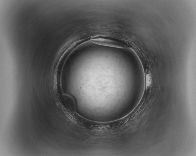 X0000116370243200912021159