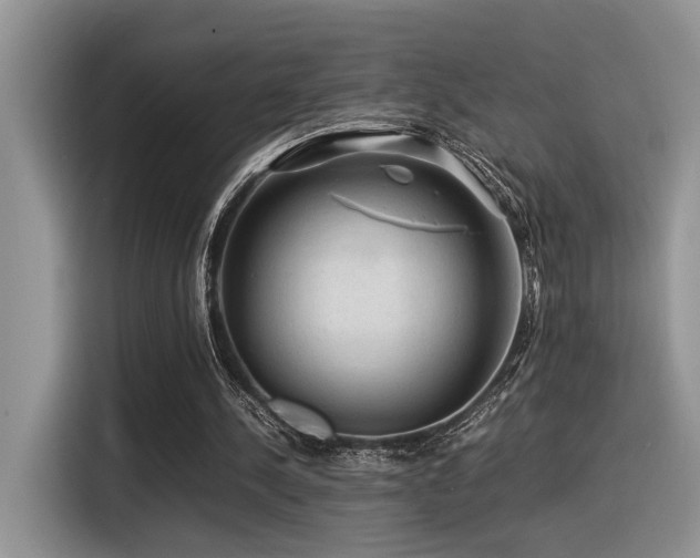 X0000116370244200912021159