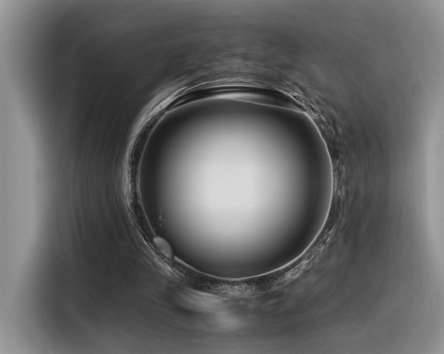 X0000116370245200912021159