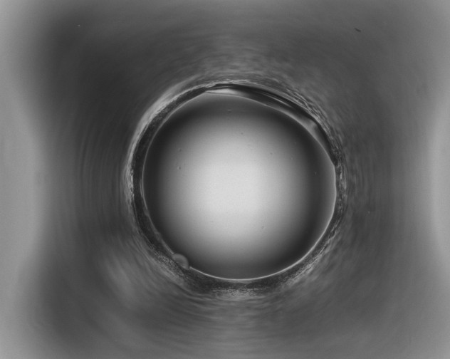 X0000116370246200912021159