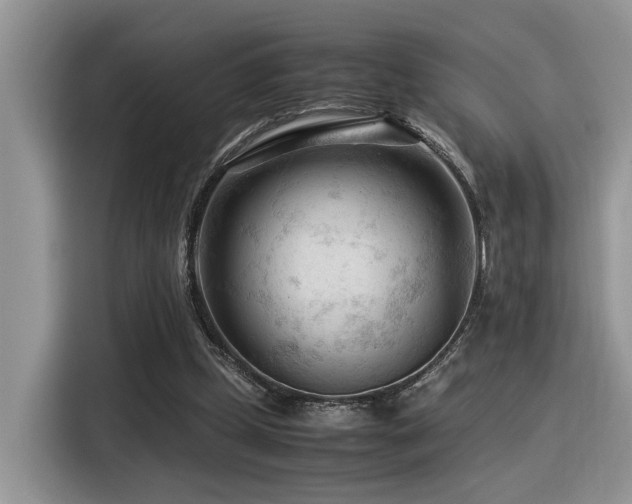 X0000116370249200912021159