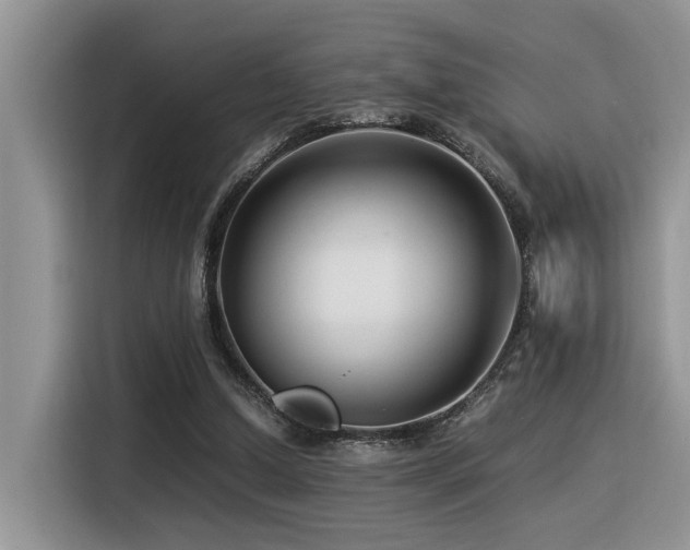 X0000116370250200912021159