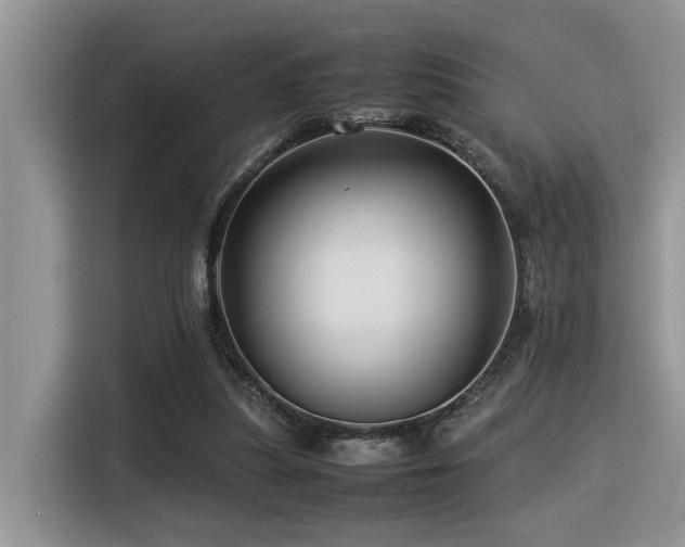 X0000116370251200912021159