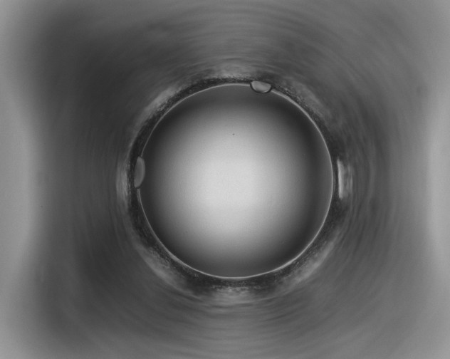 X0000116370252200912021159