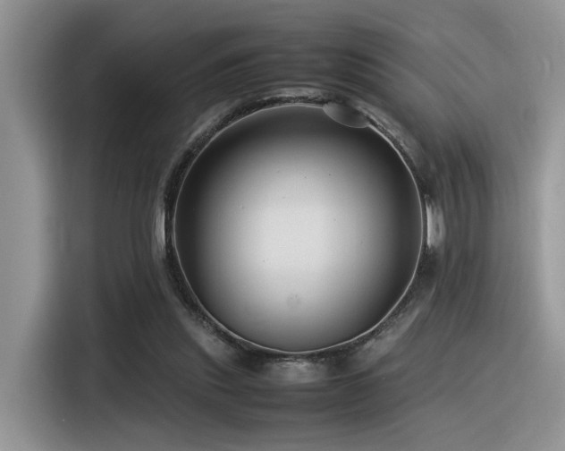 X0000116370253200912021159