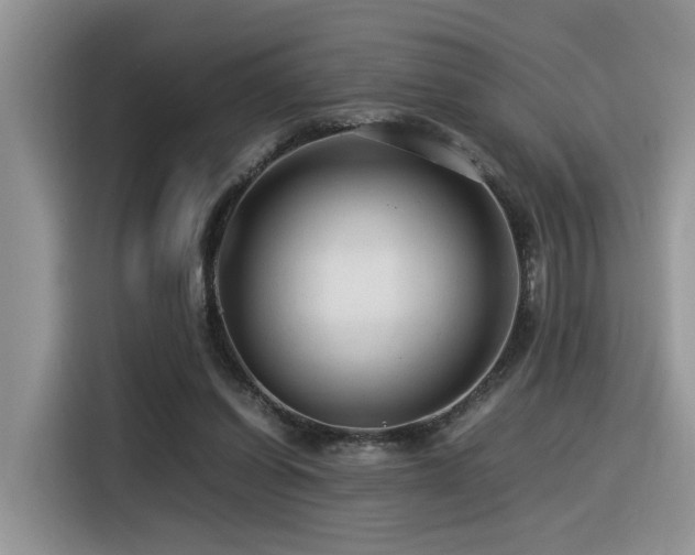 X0000116370254200912021159