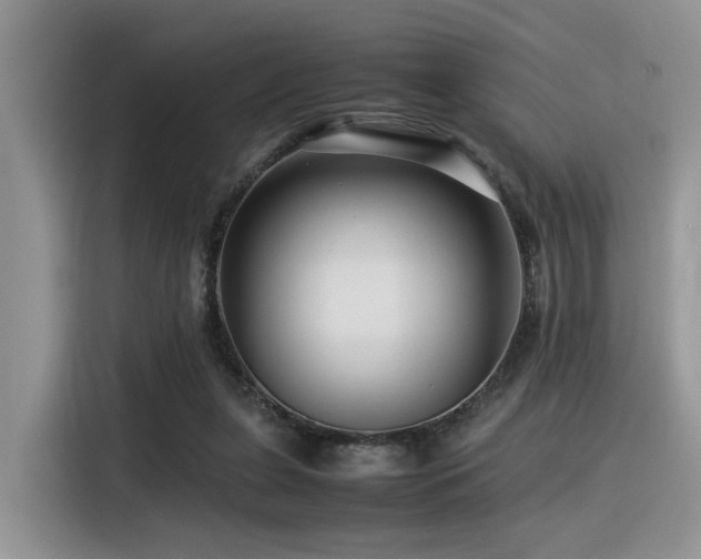 X0000116370255200912021159