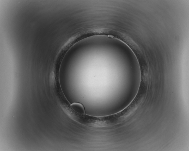 X0000116370256200912021159