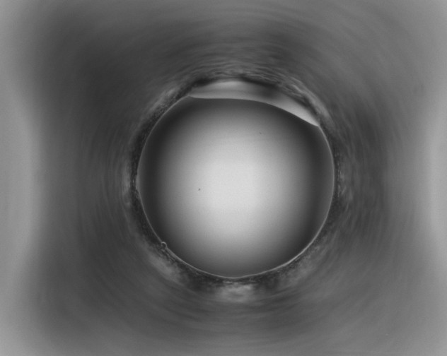 X0000116370257200912021159