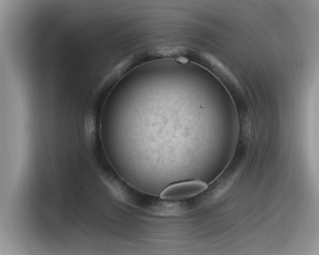 X0000116370260200912021159