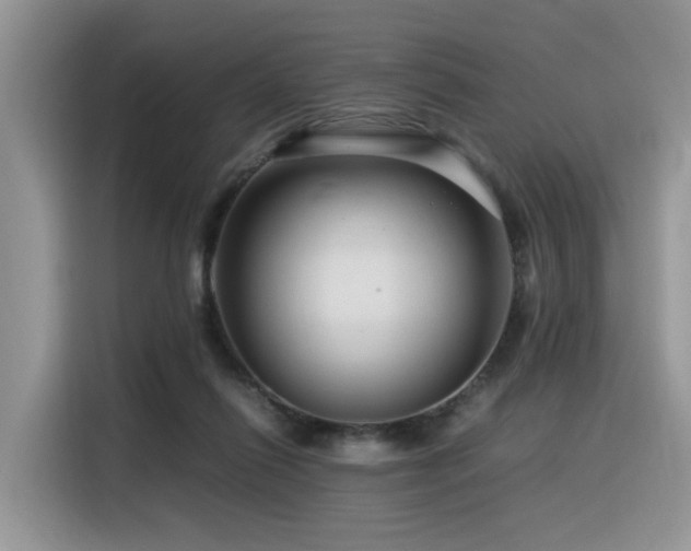 X0000116370262200912021159