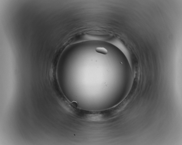 X0000116370266200912021159
