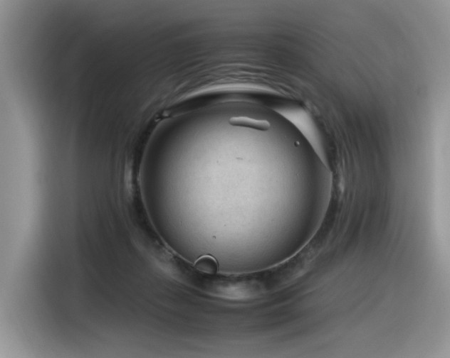 X0000116370267200912021159