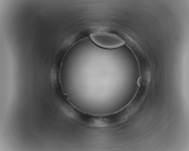 X0000116370268200912021159