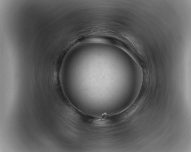 X0000116370269200912021159