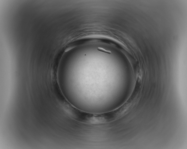X0000116370270200912021159