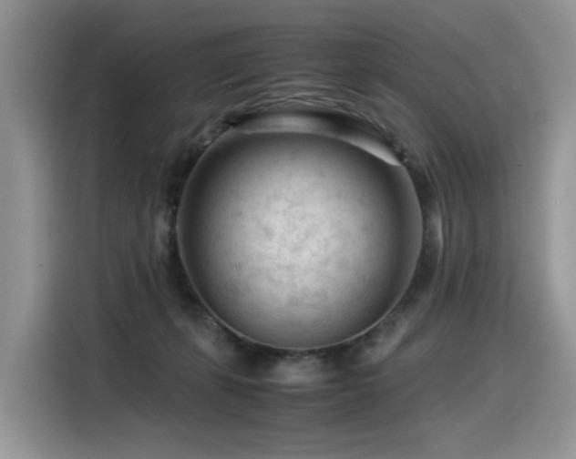 X0000116370271200912021159