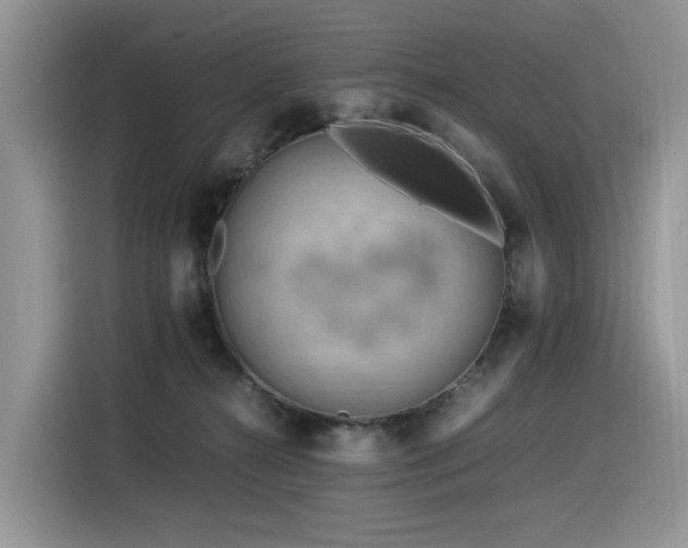 X0000116370272200912021159