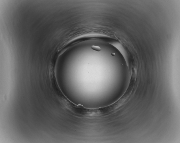 X0000116370274200912021159