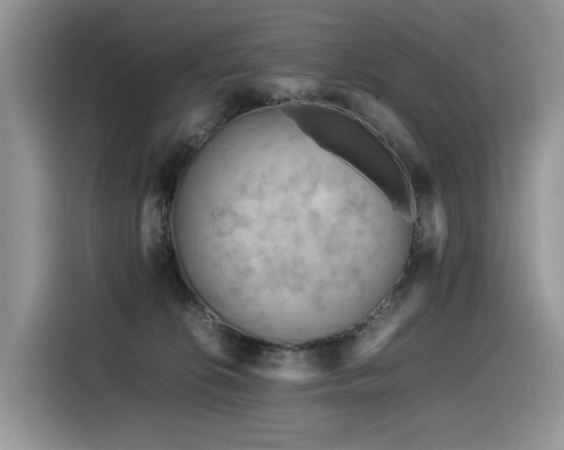 X0000116370276200912021159