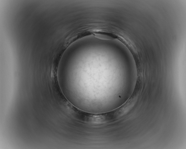 X0000116370277200912021159