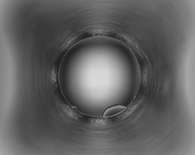 X0000116370282200912021159