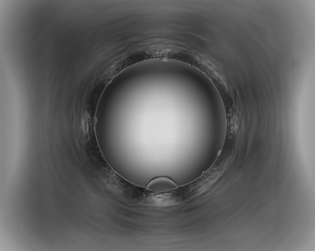 X0000116370283200912021159