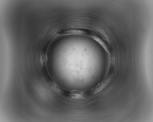 X0000116370285200912021159