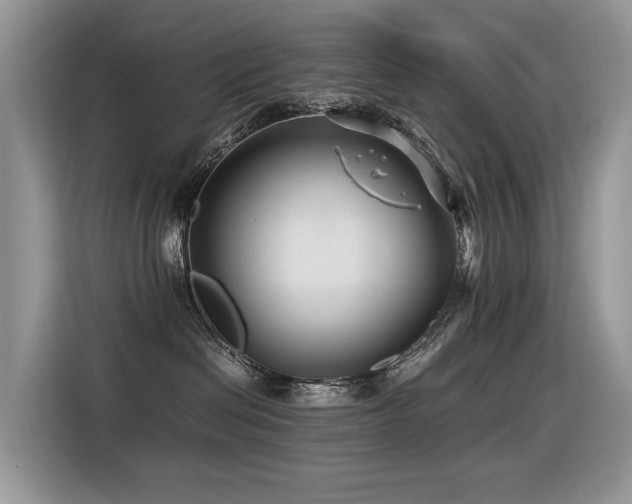 X0000116370286200912021159