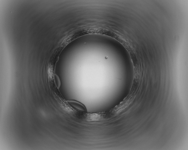 X0000116370287200912021159