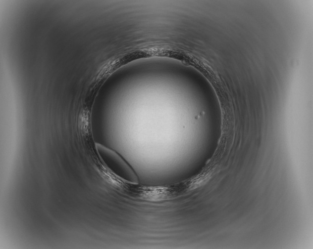 X0000116370288200912021159