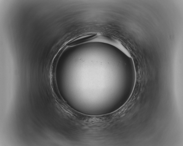 X0000116370290200912021159