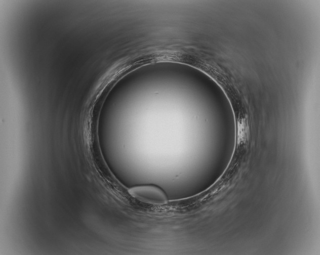 X0000116370291200912021159