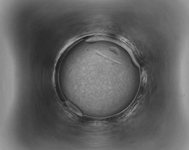 X0000116370292200912021159